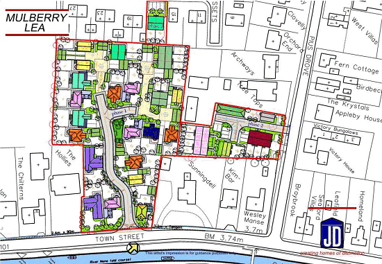 Site Layout
