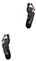 How big is your carbon footprint?