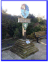 Town Shield