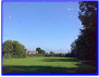 Open Park